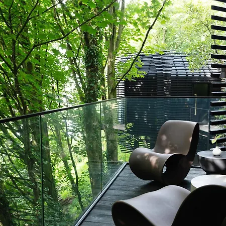 The Woodland Experience At The Montenotte コーク