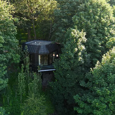 The Woodland Experience At The Montenotte